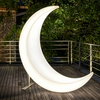 Moon Shaped Landscape Light